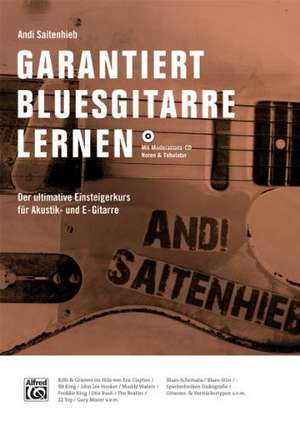 Garantiert Bluesgitarre lernen de Andi Saitenhieb