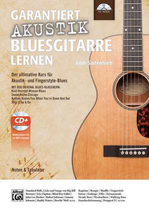 Garantiert Akustik Bluesgitarre lernen de Andi Saitenhieb