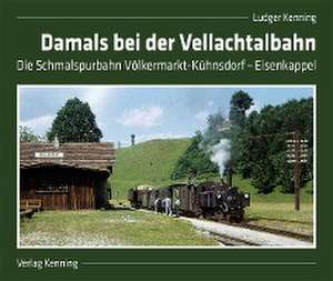 Damals bei der Vellachtalbahn de Ludger Kenning