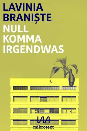 Null Komma Irgendwas de Lavina Braniste
