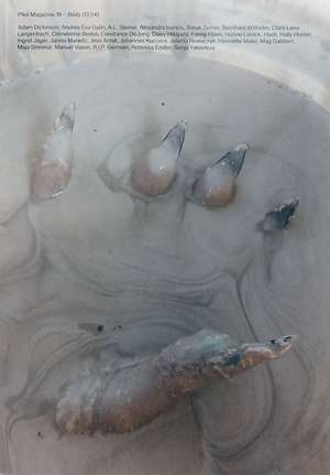 PFEIL #18 - BODY de NINA KUTTLER