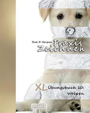 Praxis Zeichnen - XL Ubungsbuch 10 de York P. Herpers