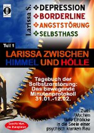 DEPRESSION - BORDERLINE - ANGSTSTÖRUNG - SELBSTHASS Teil 1: Larissa zwischen Himmel und Hölle-Tagebuch der Selbstzerstörung de Larissa S.