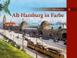 Alt-Hamburg in Farbe de Henning Jost