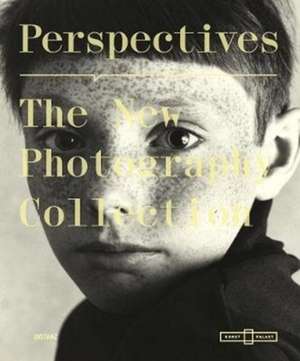 Perspective. The New Photography Collection de Linda Conze