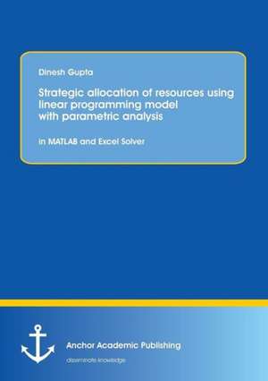 Strategic allocation of resources using linear programming model with parametric analysis: in MATLAB and Excel Solver de Dinesh Gupta