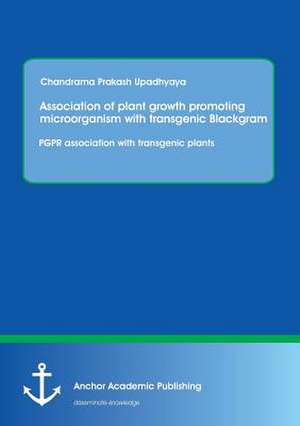 Association of plant growth promoting microorganism with transgenic Blackgram. PGPR association with transgenic plants de Chandrama Prakash Upadhyaya