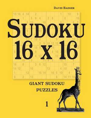 Sudoku 16 X 16