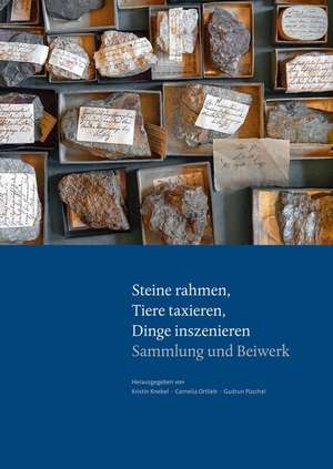 Parerga und Paratexte - Steine rahmen, Tiere taxieren, Dinge inszenieren de Kristin Knebel