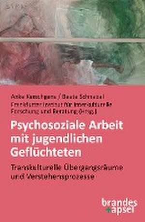 Psychosoziale Arbeit mit jugendlichen Geflüchteten de Anke Kerschgens