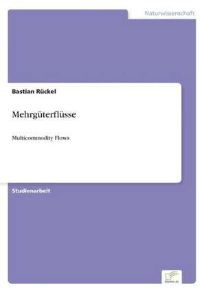 Mehrgüterflüsse de Bastian Rückel