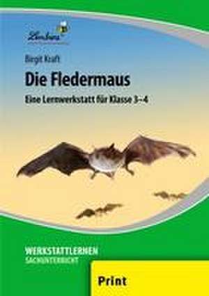 Kraft, B: Fledermaus (PR)