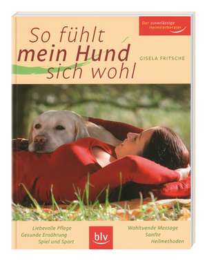 So fühlt mein Hund sich wohl