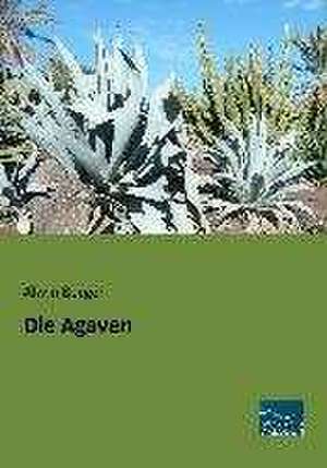 Die Agaven de Alwin Berger