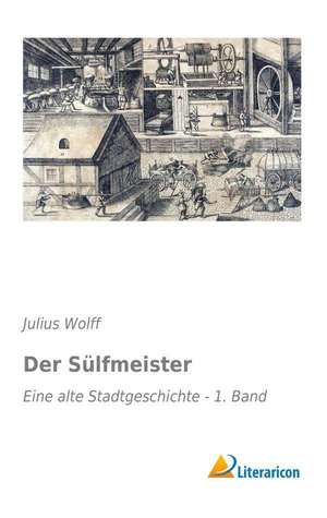 Der Sulfmeister: Eine Alte Stadtgeschichte - 1. Band de Julius Wolff