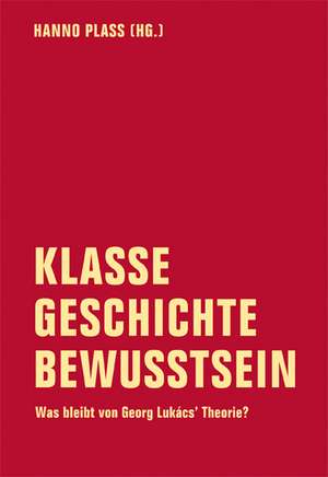 Klasse - Geschichte - Bewusstsein de Hanno Plass