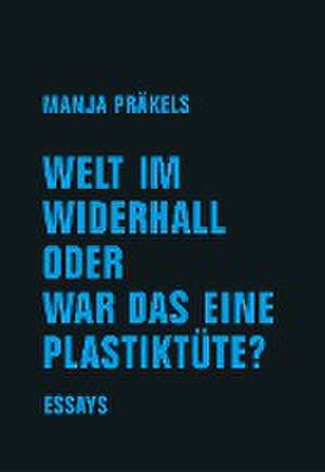 Welt im Widerhall oder war das eine Plastiktüte? de Manja Präkels