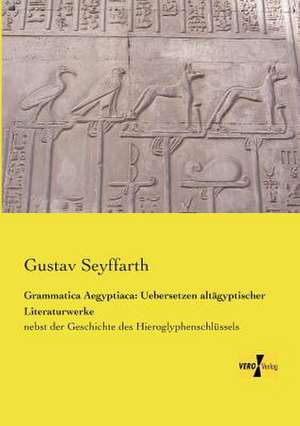 Grammatica Aegyptiaca: Uebersetzen altägyptischer Literaturwerke de Gustav Seyffarth