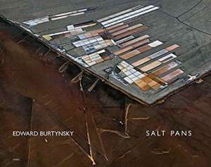 Edward Burtynsky: Salt Pans de Edward Burtynsky