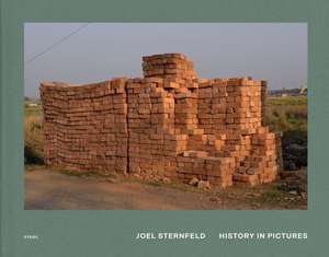 History in Pictures de Joel Sternfeld