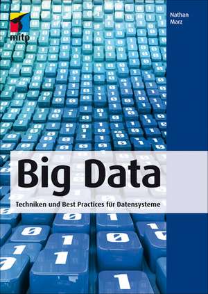 Big Data de Nathan Marz