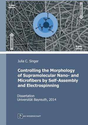 Controlling the Morphology of Supramolecular Nano- and Microfibers by Self-Assembly and Electrospinning de Julia C. Singer