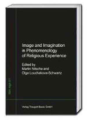 Image and Imagination in the Phenomenology of Religious Experience de Martin Nitsche