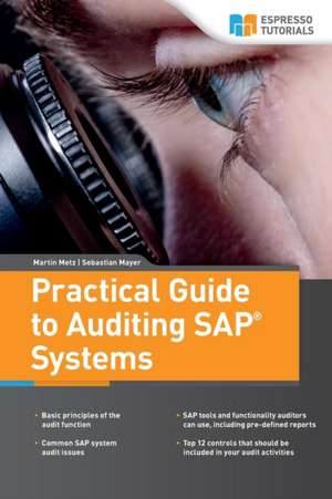 Practical Guide to Auditing SAP Systems de Martin Metz