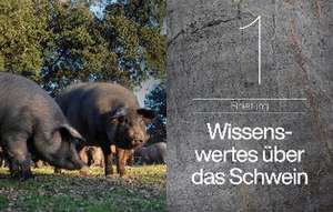 Schwein de Teubner