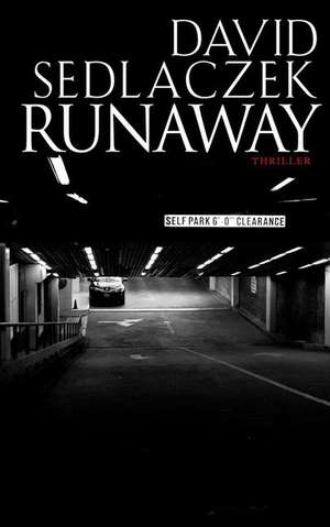 Runaway de David Sedlaczek