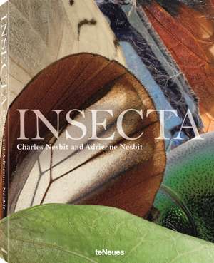 Insecta de Adrienne Nesbit