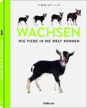 Wachsen de Marlonneke Willemsen