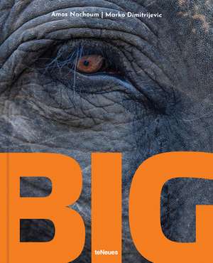 BIG: A Photographic Album of the World's Largest Animals de Marko Dimitrijevic