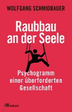 Raubbau an der Seele de Wolfgang Schmidbauer