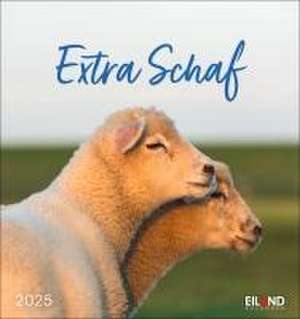 Extra Schaf Postkartenkalender 2025 de Eiland