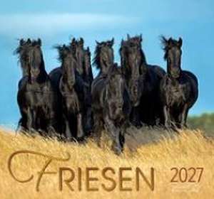 Friesen 2027 de Gabriele Boiselle