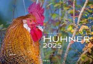 Klein, J: Hühner Kalender 2025