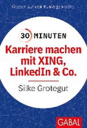 30 Minuten Karriere machen mit XING, LinkedIn und Co. de Silke Grotegut