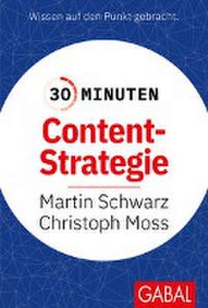 30 Minuten Content-Strategie de Martin Schwarz