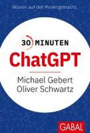 30 Minuten ChatGPT de Michael Gebert