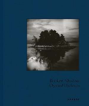 Broken Shadow de Oyvind Hjelmen