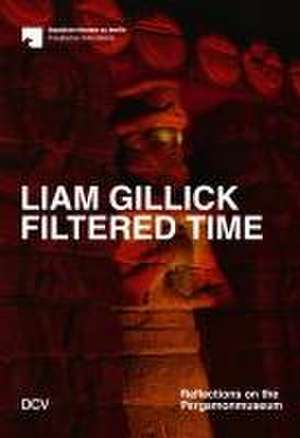 Liam Gillick. Filtered Time de Barbara Helwing