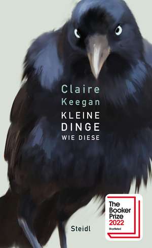 Kleine Dinge wie diese de Claire Keegan