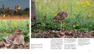 NATURERLEBNIS MALLORCA de Norbert Daubner