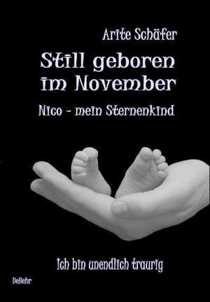 Schäfer, A: Still geboren im November - Nico, mein Sternenki