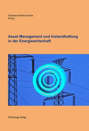 Asset Management und Instandhaltung in der Energiewirtschaft de Christiana Köhler-Schute