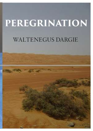 PEREGRINATION de Waltenegus Dargie