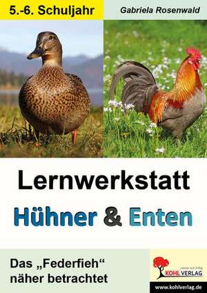 Lernwerkstatt Hühner & Enten / Sekundarstufe de Gabriela Rosenwald