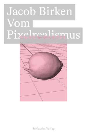 Vom Pixelrealismus de Birken Jacob