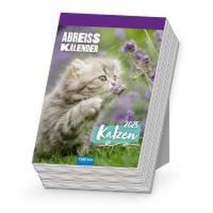 Trötsch Abreißkalender Katzen 2025 de Trötsch Verlag GmbH & Co. KG